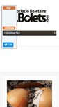 Mobile Screenshot of bdebolets.com
